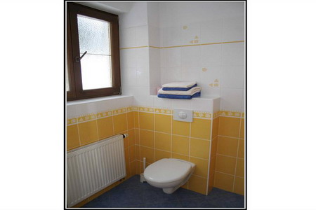 Ubytování - Špindlerův Mlýn - Penzion ve Špindlerově Mlýně - Krkonoše - koupelna